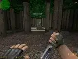 as_forest