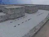 fy_tundra